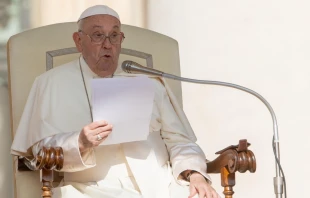 Imagen del Papa Francisco en la Audiencia General Crédito: Daniel Ibáñez/ EWTN News