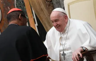 El Papa Francisco durante la audiencia con los miembros del Dicasterio para el Culto Divino y la Disciplina de los Sacramentos Crédito: Vatican Media