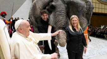 El Papa Francisco acaricia al elefante durante la Audiencia General del 8 de enero