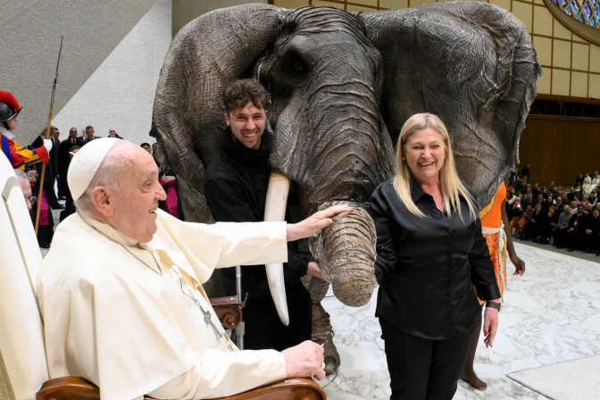 El Papa Francisco acaricia al elefante durante la Audiencia General del 8 de enero