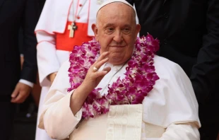 El Papa Francisco, durante el encuentro juvenil interreligioso celebrado en Singapur. Crédito: Daniel Ibáñez / EWTN News.