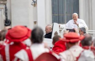 El Papa saluda a los peregrinos en la Audiencia General Crédito: Daniel Ibáñez