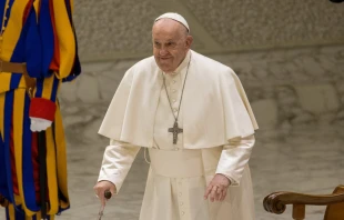 El Papa Francisco, durante una audiencia general. Crédito: Elizabet Alba / ACI Prensa