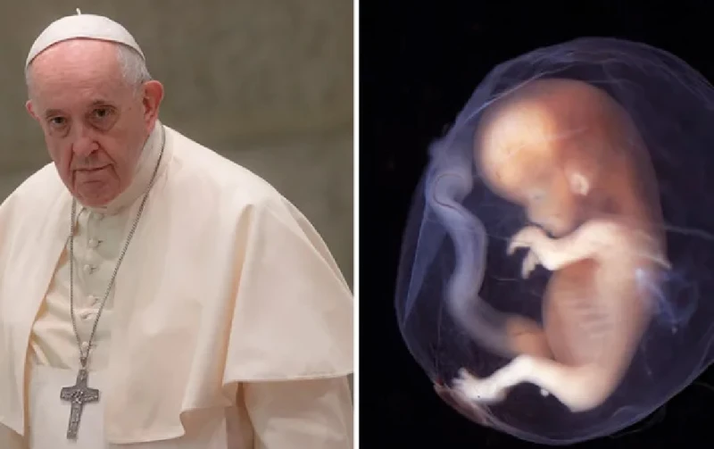 11 veces que el Papa Francisco criticó duramente el aborto