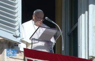 El Papa Francisco reza el Ángelus frente a los fieles reunidos en la Plaza de San Pedro del Vaticano, el 29 de diciembre de 2024. Crédito: Captura de video / Vatican Media.