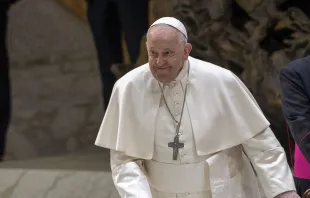 El Papa Francisco en el Aula Pablo VI en el Vaticano. Crédito: Daniel Ibáñez / ACI Prensa