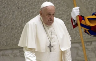 El Papa Francisco en la audiencia general del 18 de diciembre en el Vaticano. Crédito: Daniel Ibáñez / EWTN News.