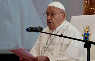 El Papa Francisco se reunió este sábado 7 de septiembre con las autoridades, la sociedad civil y el cuerpo diplomático en Papúa Nueva Guinea, el segundo país que visita en el marco de su viaje de 11 días a Asia y Oceanía. Crédito: Daniel Ibáñez / EWTN News.