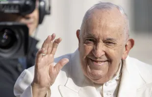 El Papa Francisco alienta a promover el estudio del Catecismo de la Iglesia Católica. Crédito: Daniel Ibáñez / ACI Prensa