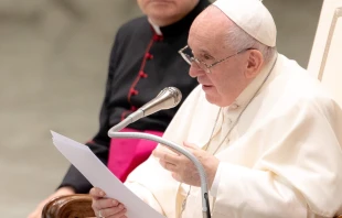 El Papa Francisco durante una Audiencia General en el Vaticano, el 18 de octubre de 2021. Crédito: Daniel Ibáñez / EWTN News.