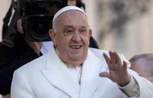 El Papa Francisco en una audiencia general en el Vaticano. Crédito: Julia Cassell / EWTN News.