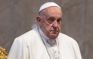 El Papa Francisco afirma que también hoy vivimos un "tiempo de martirio". Crédito: Daniel Ibáñez / EWTN News