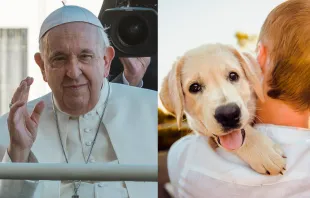 El Papa Francisco en la audiencia general - Una persona carga un perro. Crédito: Elizabeth Alva - ACI Prensa / Pixabay