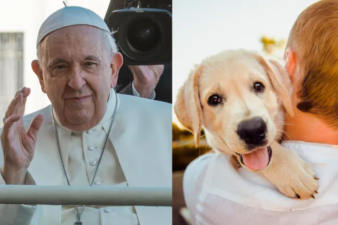 Papa Francisco perros hijos 18112023