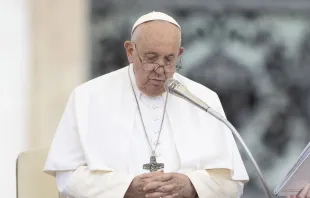 El Papa Francisco en la Audiencia General hoy en el Vaticano Crédito: Daniel Ibáñez / ACI Prensa