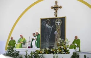 El Papa Francisco celebró la Misa este domingo 7 de julio en Trieste, al noreste de Italia. Crédito: Daniel Ibáñez / EWTN News.