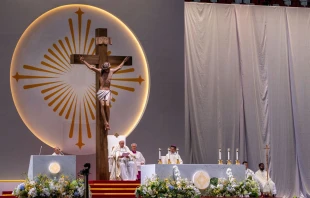 El Papa Francisco celebra la Eucaristía en el Estadio Nacional de Singapur. Crédito: Daniel Ibáñez / EWTN News.