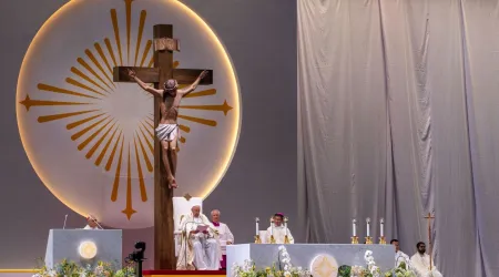 El Papa Francisco celebra la Eucaristía en el Estadio Nacional de Singapur.