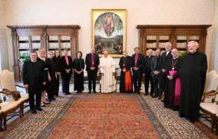 El Papa Francisco durante audiencia con luteranos Crédito: Vatican Media