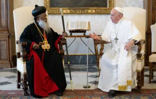 El Papa Francisco con Su Santidad Baselios Marthoma Mathews III Crédito: Vatican Media