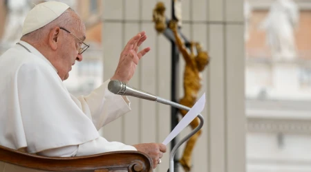 El Papa Francisco en la Audiencia General de este 19 de junio