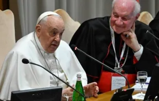 El Papa Francisco subraya que “el peligro más feo” es la ideología de género. Crédito: Vatican Media.
