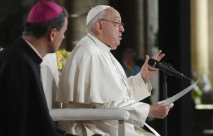 El Papa Francisco dirige su discurso a obispos, seminaristas, diáconos y consagrados de Bélgica Crédito: Vatican Media