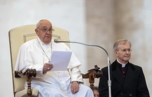 El Papa Francisco en la Audiencia General Crédito: Daniel Ibáñez/ EWTN News