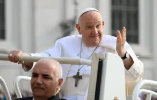 El Papa Francisco saluda desde el papamóvil durante una Audiencia General Crédito: Vatican Media