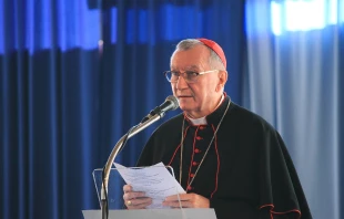 Cardenal Pietro Parolin, Secretario de Estado del Vaticano. Crédito: Pasquale Senador - Shutterstock