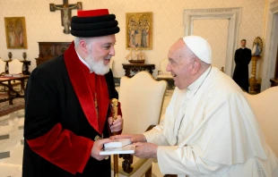 El Papa Francisco recibe a Mar Awa III, Catholicos-Patriarca de la Iglesia Asiria de Oriente Crédito: Vatican Media