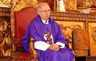 Mons. Víctor Hugo Palma Paúl. Diocesis de Escuintla