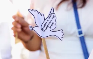 Imagen referencial de marcha por la paz Crédito: EWTN