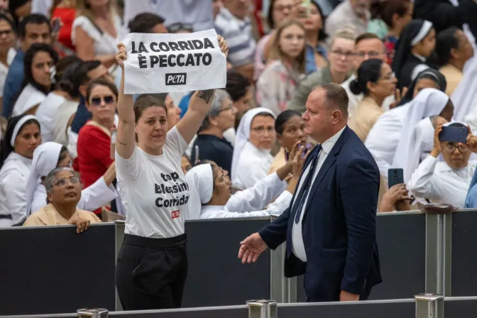 Activistas animalistas irrumpen durante una audiencia general con el Papa Francisco en el Vaticano.