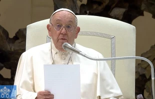 El Papa Francisco, durante la audiencia general del 21 de agosto de 2024. Crédito: Vatican News