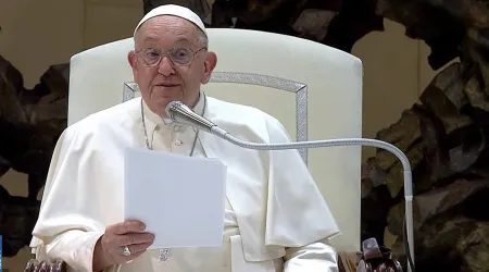 El Papa Francisco se dirige a los fieles en el Aula Pablo VI del Vaticano el 21 de agosto de 2024.