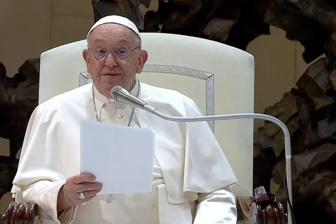 El Papa Francisco se dirige a los fieles en el Aula Pablo VI del Vaticano el 21 de agosto de 2024.