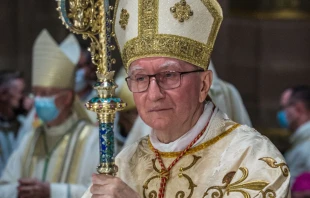 El Cardenal Pietro Parolin, Secretario de Estado del Vaticano. Crédito: Claude Truong-Ngoc / Wikimedia Commons, CC BY-SA-4.0