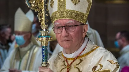 Cardenal Pietro Parolin