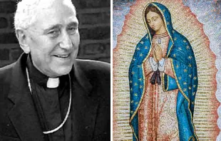 Cardenal Pironio/Virgen de Guadalupe Crédito: Santuario de Luján - Grant Whitty/Unsplash