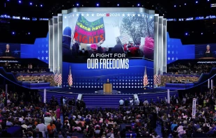 La expresidenta de Planned Parenthood, Cecile Richards, habla en el escenario durante el tercer día de la Convención Nacional Demócrata en el United Center el 21 de agosto de 2024, en Chicago (Estados Unidos). Crédito: Foto de Chip Somodevilla/Getty Images