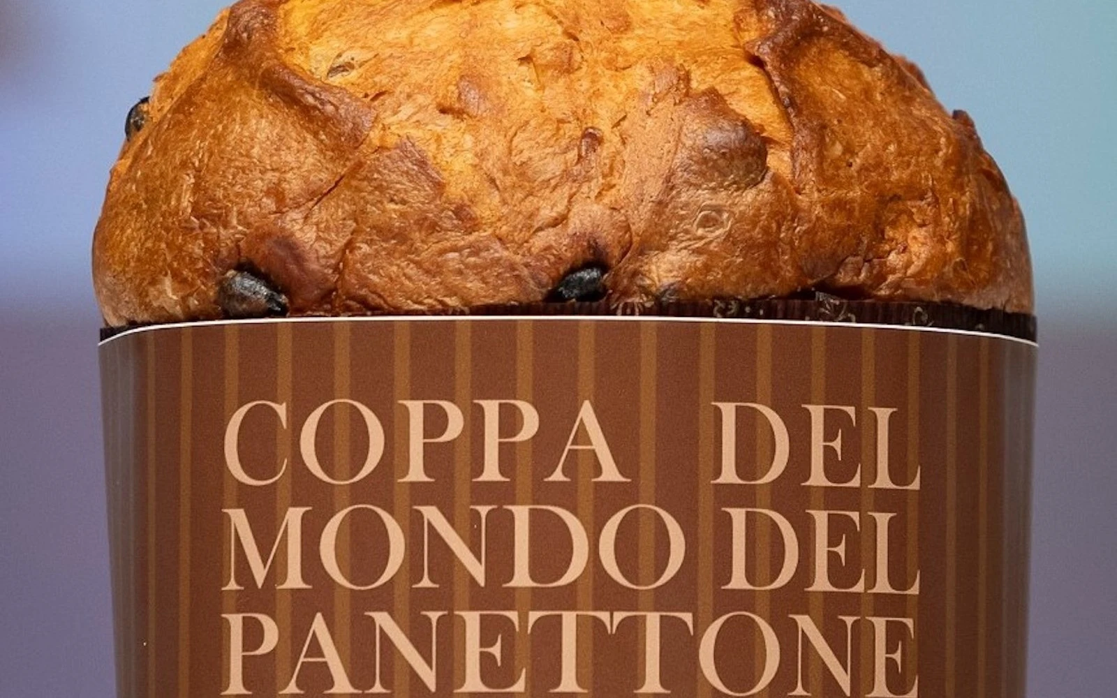 Fotografía del mejor panettone del mundo?w=200&h=150