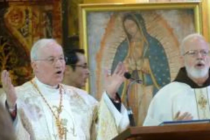 Cardenal Ouellet: Católicos de América debemos estar en la línea de combate