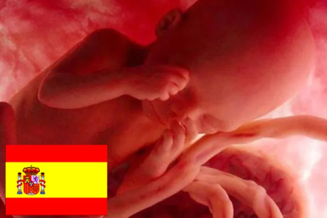 Aborto: Encuesta de Hazte Oír indica que el 45 por ciento de votantes del PP no le votará si aplaza reforma