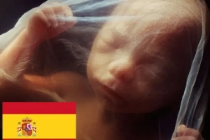 Derecho a Vivir y Foro de la Familia piden al gobierno eliminar o restringir causales de aborto