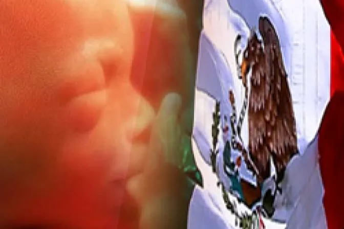 Experta: Corte Suprema solo puede admitir blindaje de la vida en estados mexicanos