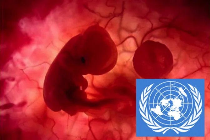 ONU reconoce que el aborto no es derecho humano
