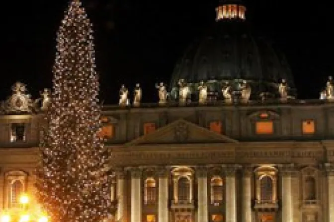 Hoy se enciende árbol de Navidad en el Vaticano: Mensaje de esperanza y amor, dice el Papa