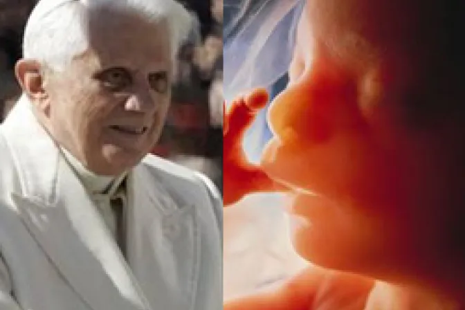 Ayudar a Haití y rezar por los niños por nacer, exhorta el Papa Benedicto XVI