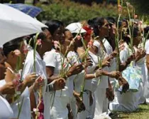 Damas de Blanco